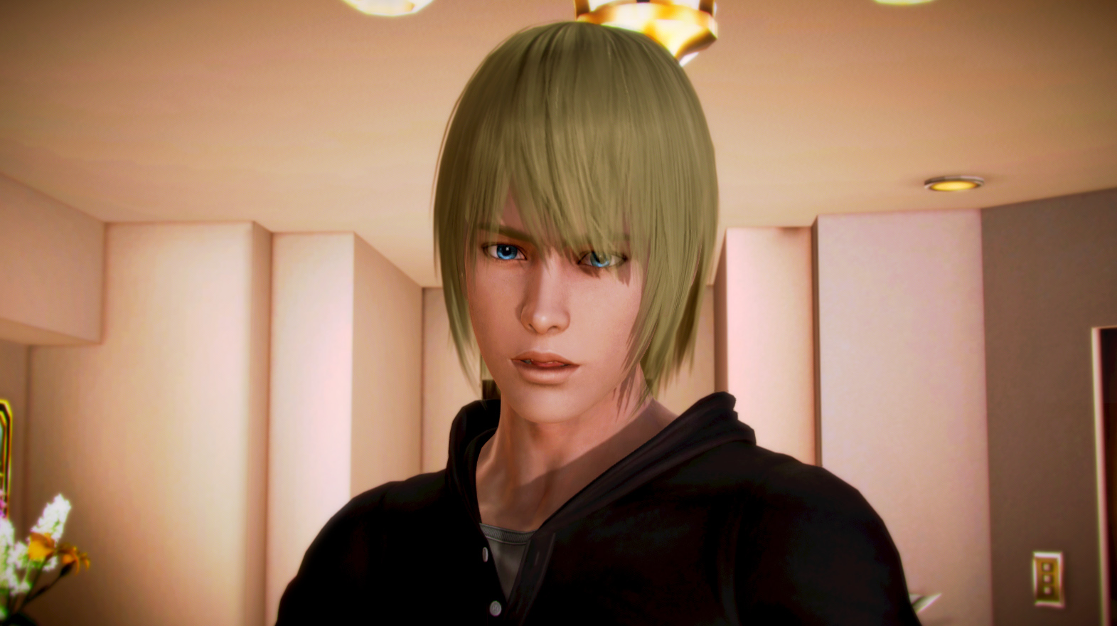 Honey select male mods